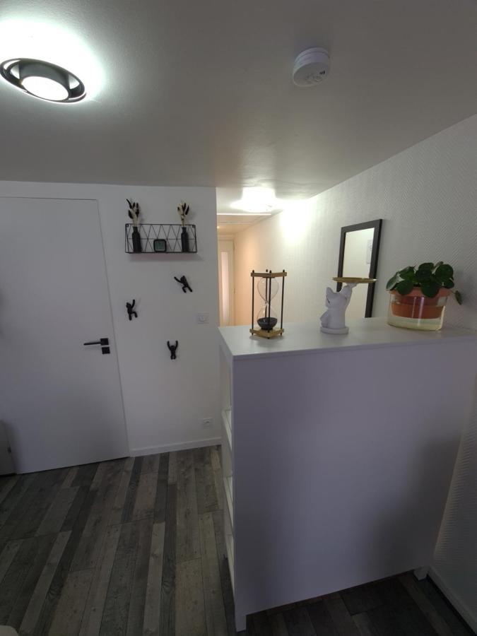 Un Appartement Qui A Du Chien Épernay Dış mekan fotoğraf