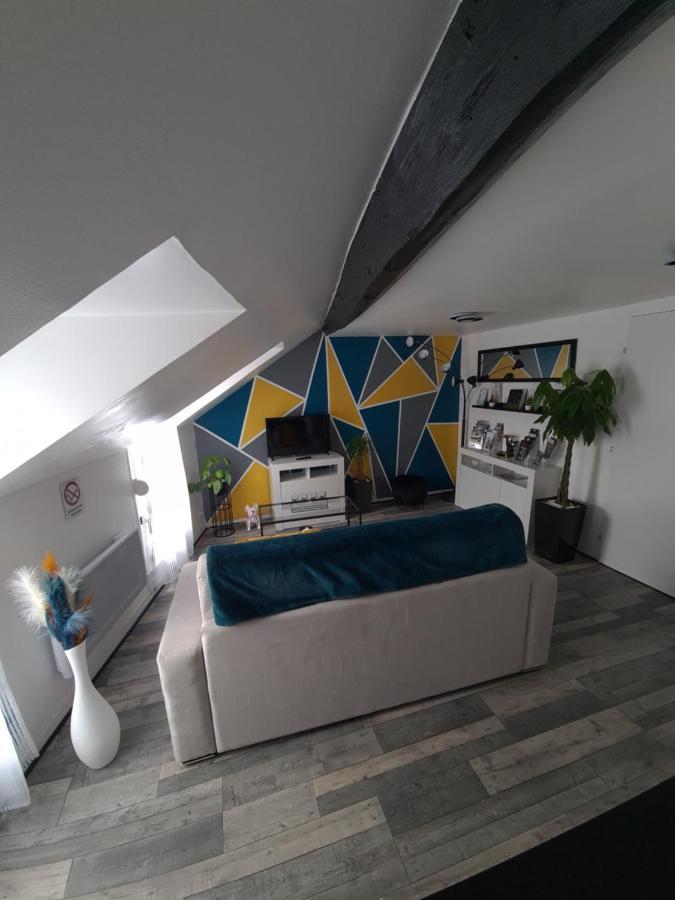 Un Appartement Qui A Du Chien Épernay Dış mekan fotoğraf