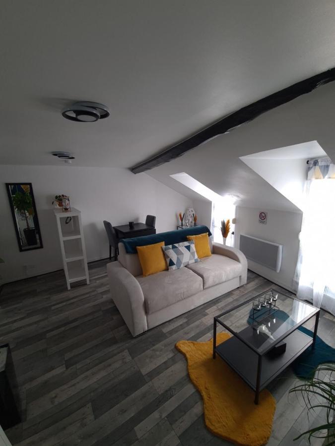 Un Appartement Qui A Du Chien Épernay Dış mekan fotoğraf